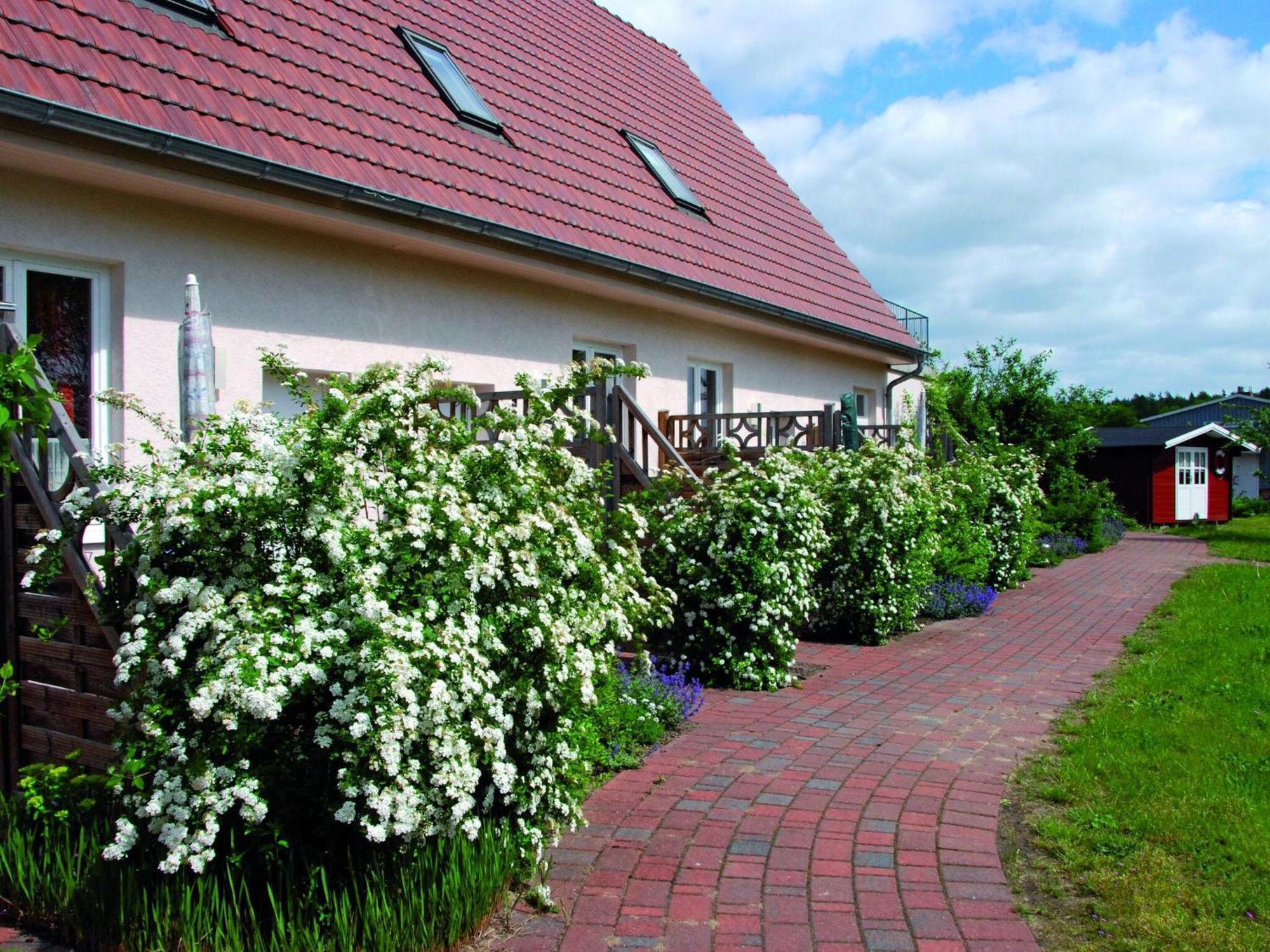 Reihenhaus Mit Wlan In Buchholz Am Mueritzsee Villa Exteriör bild